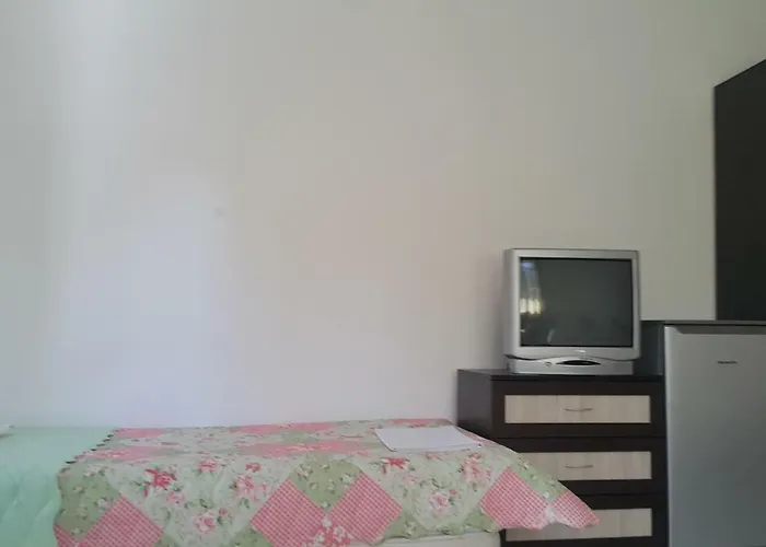 게스트하우스 на гости при силвия 오브조르