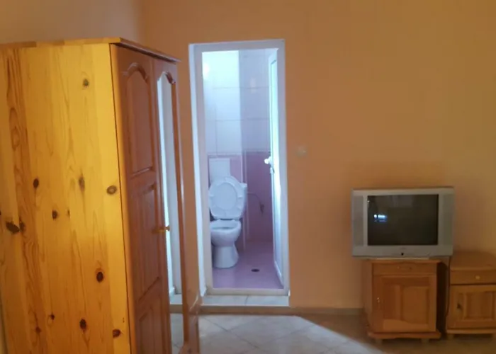 게스트하우스 на гости при силвия 오브조르