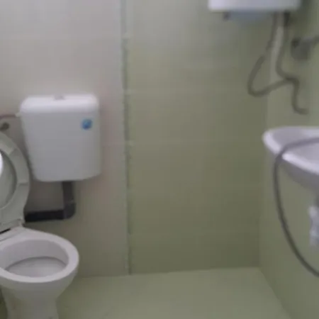 на гости при силвия Casa de hóspedes Obzor