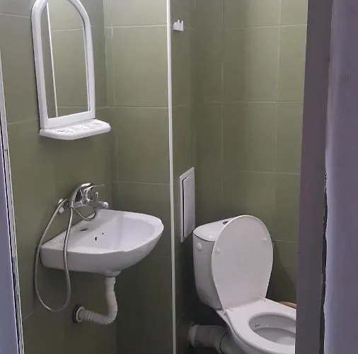 на гости при силвия 招待所