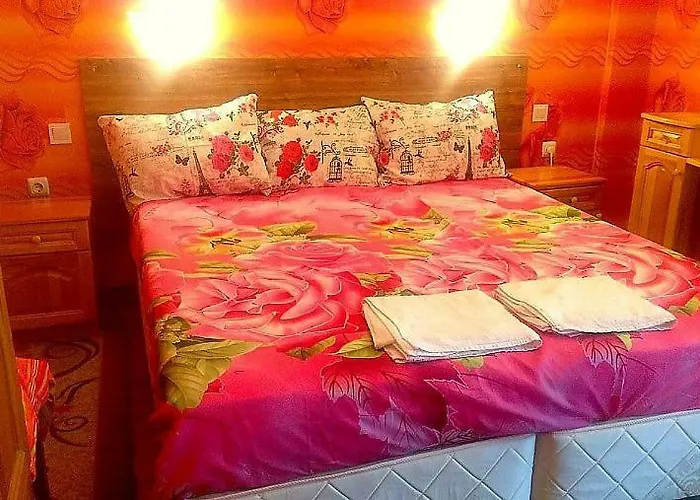 на гости при силвия 3* 奥布佐尔