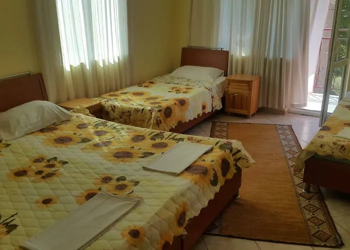 на гости при силвия 3* 奥布佐尔