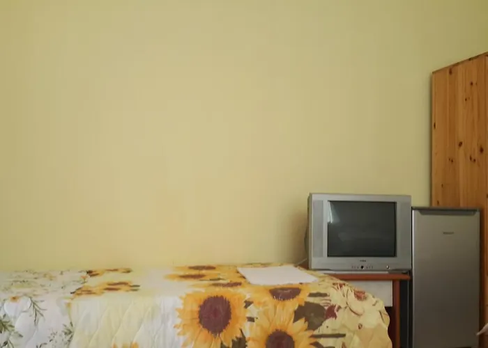 Penzion на гости при силвия Obzor